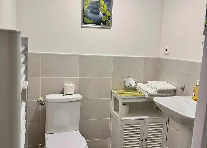 Au Coeur Du Village Avec Terrasse Et Parking Proche De Pamiers Verniolle